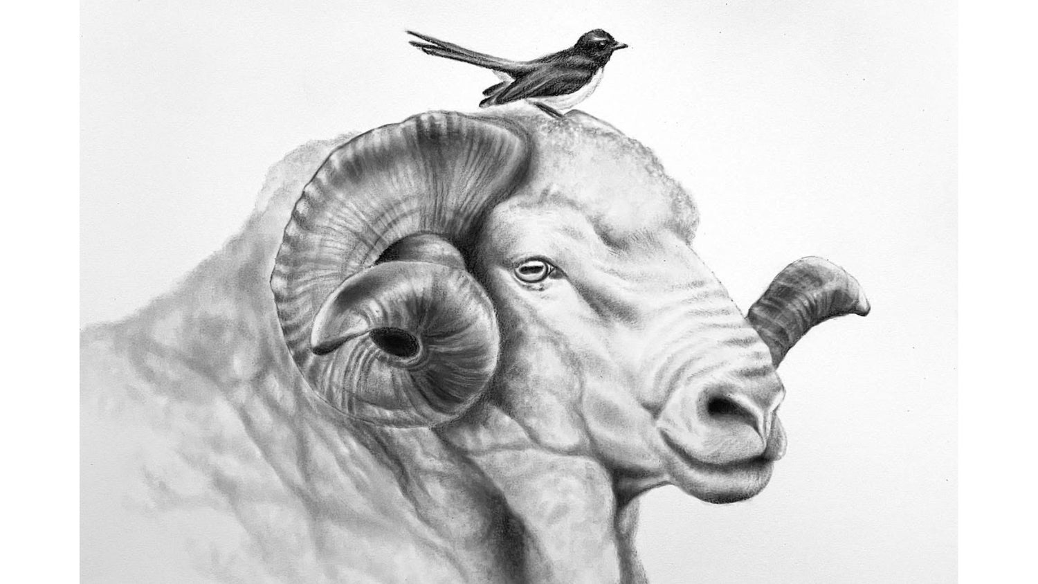 Rolled Canvas Prints