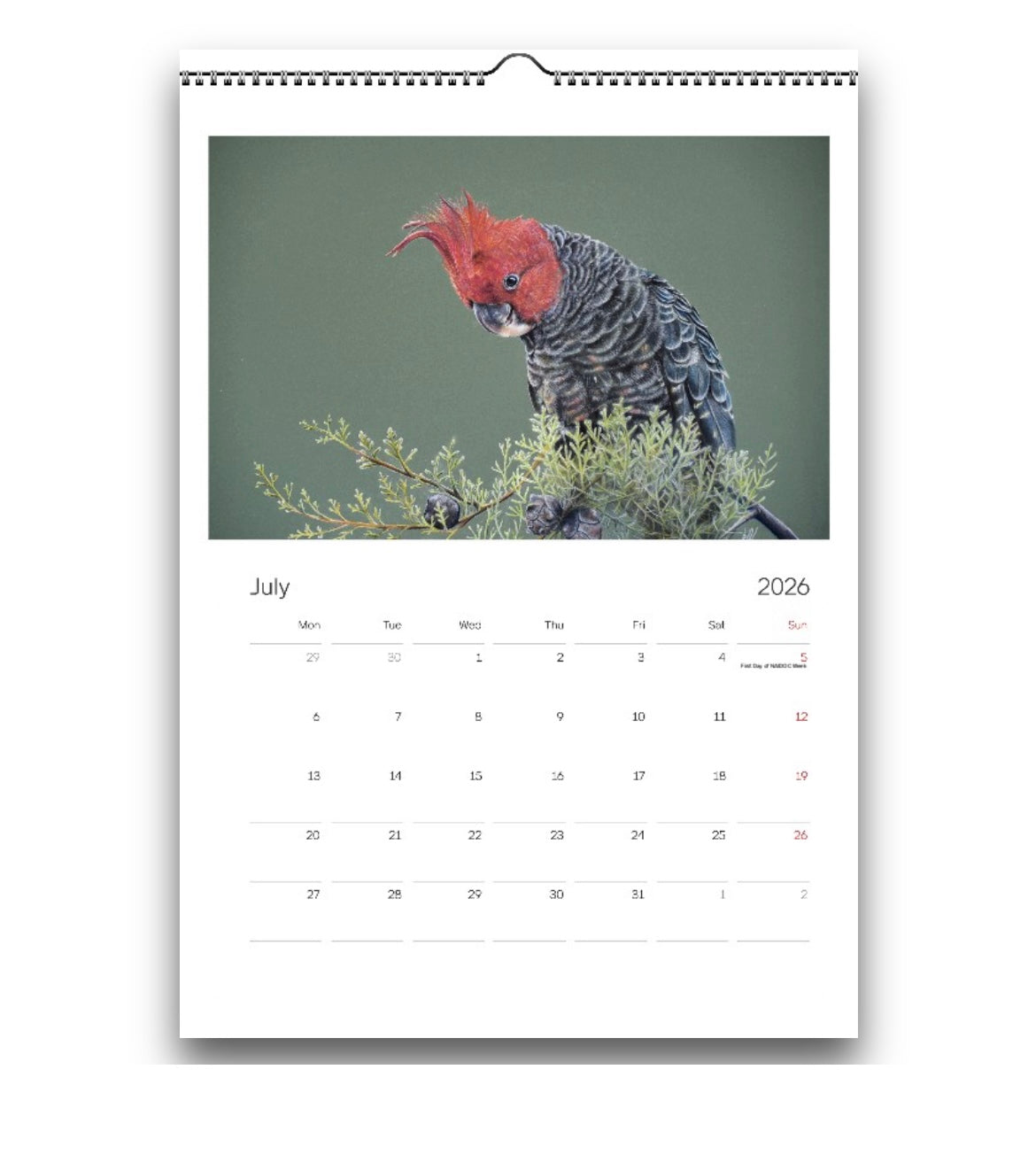 2026 calendars