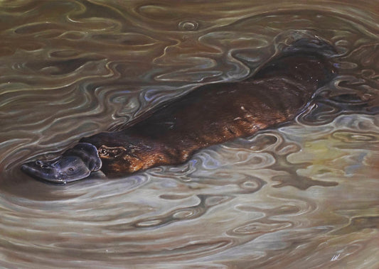 $3 ex calendar A3 prints