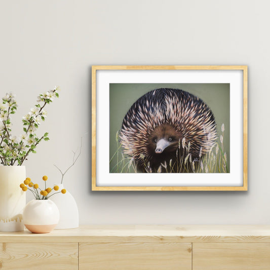Echidna business original artwork framed