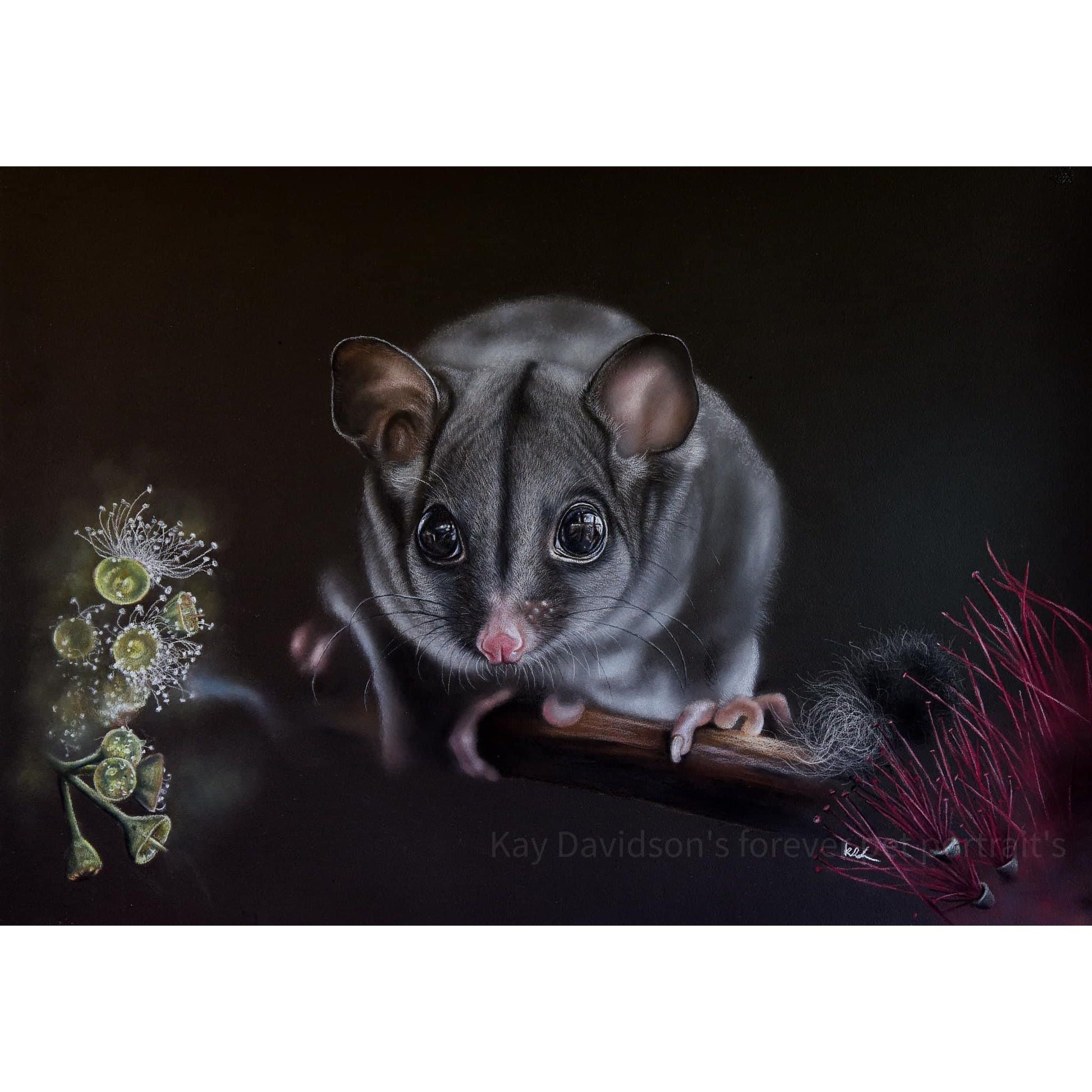 gary the glider original artwork showing unframed