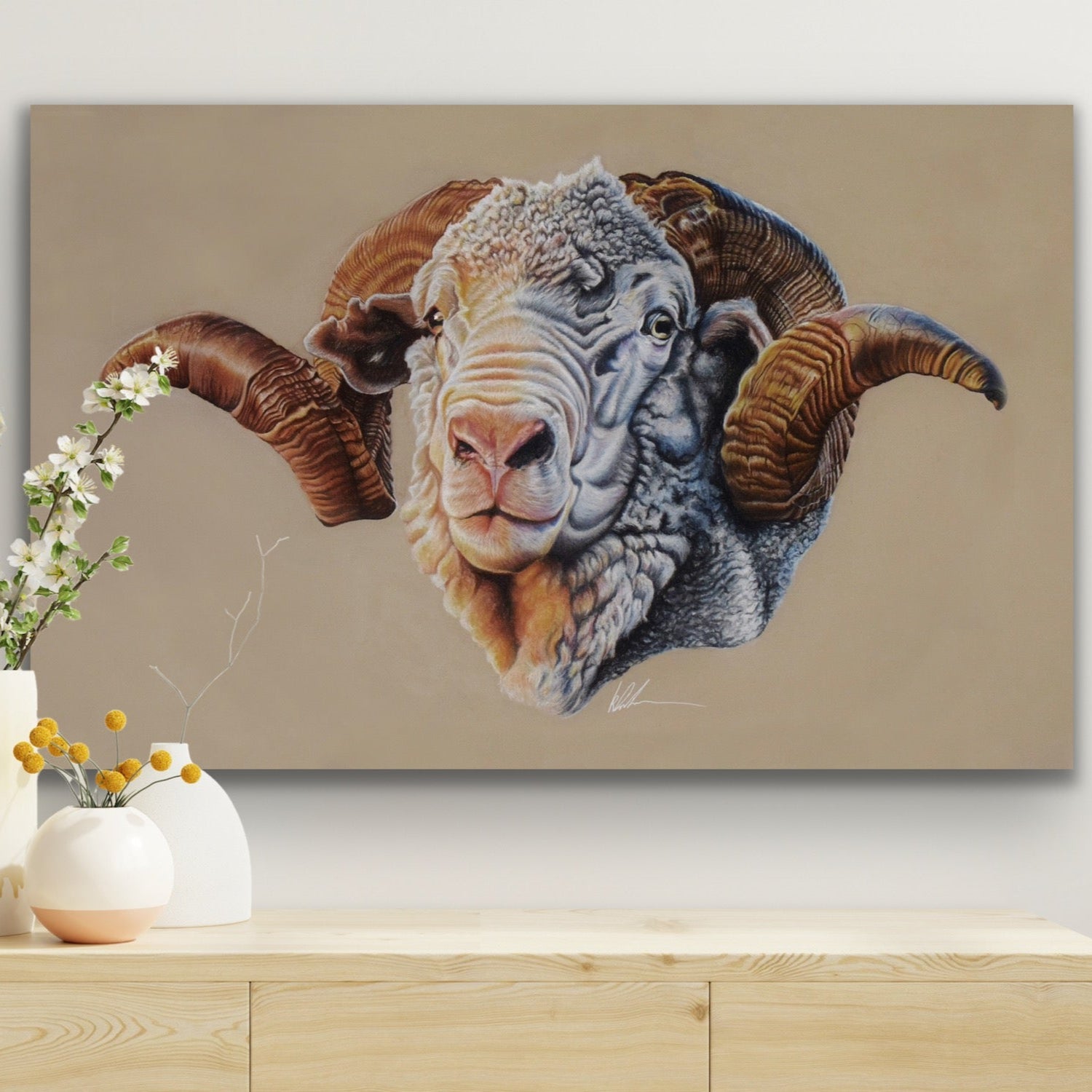 Hay Runner Ram Stretched Canvas