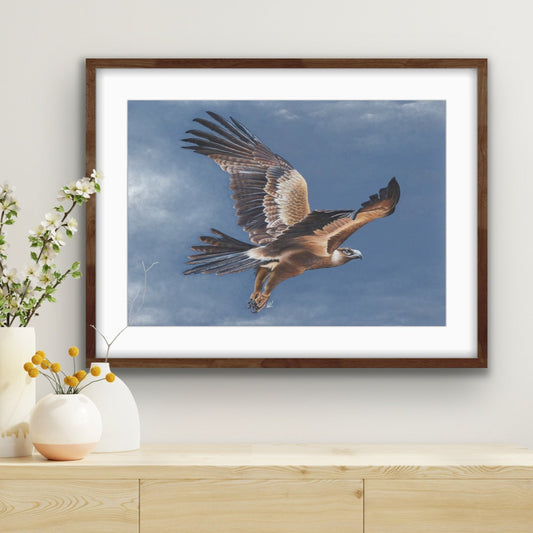 King of the sky original artwork shown framed