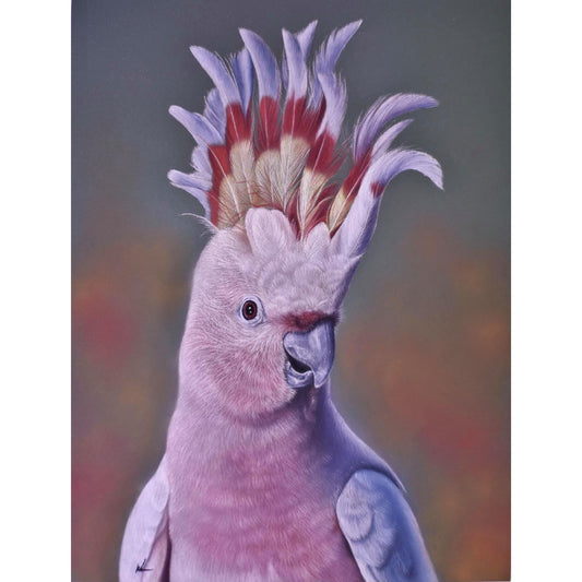 Mr Major Original Artwork shown unframed