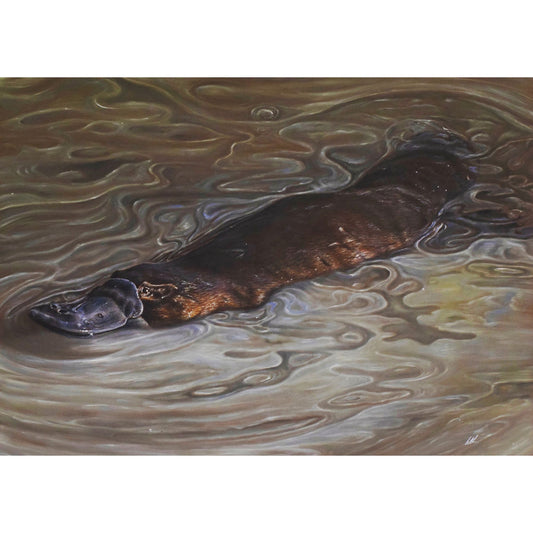 Platypus play original artwork shown unframed
