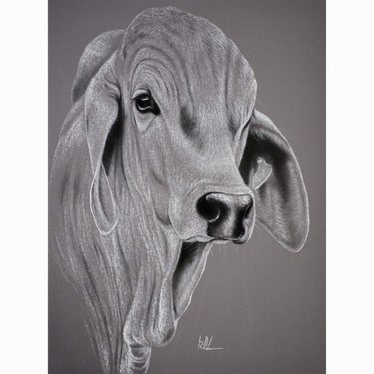 Toy boy rolled print artwork