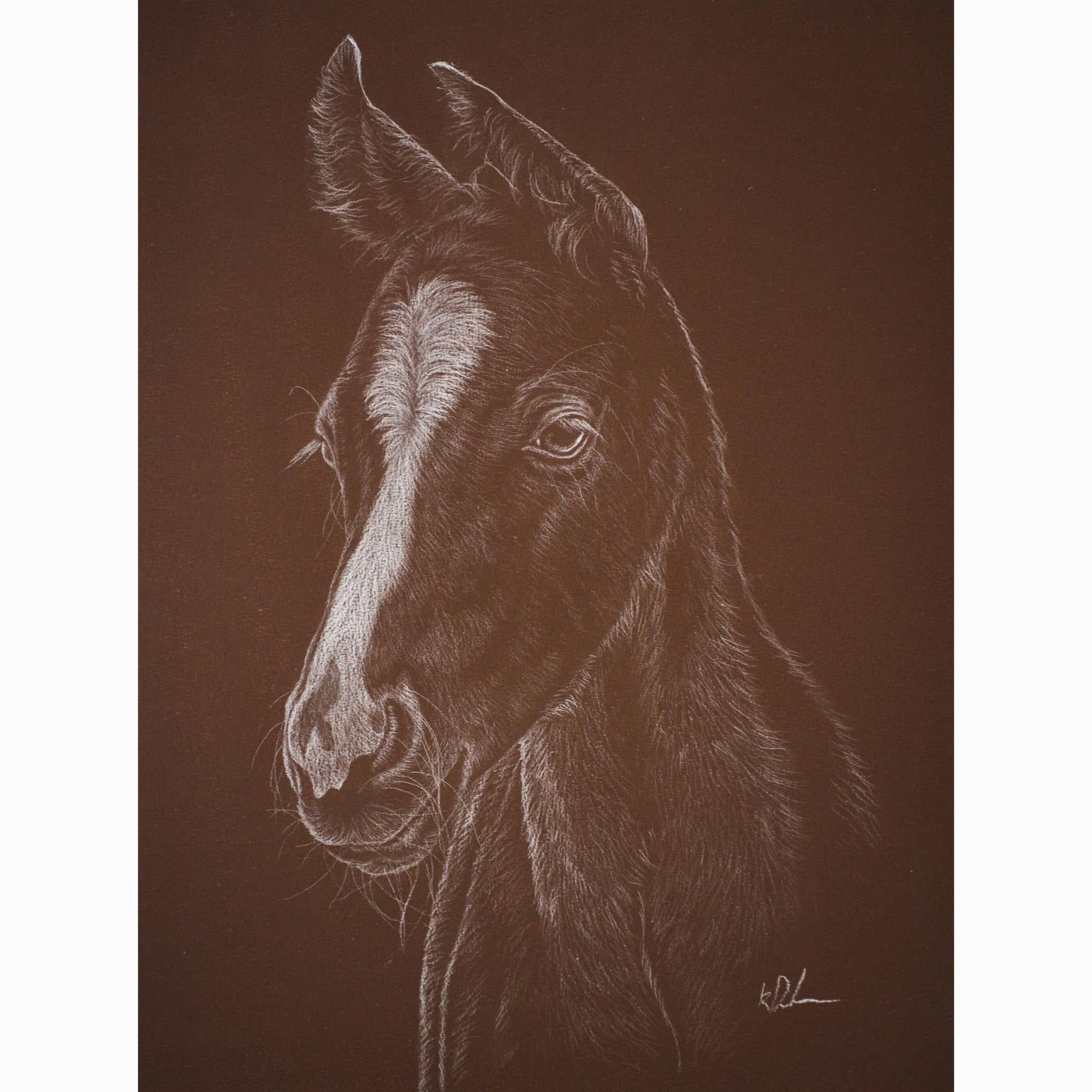 Detailed drawing of a horse's head on a brown background