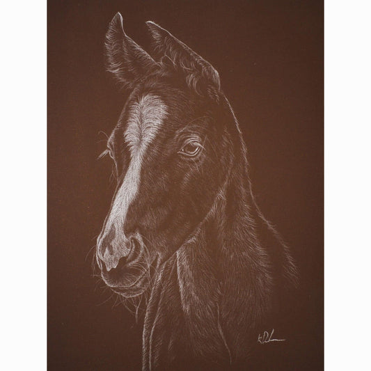 Detailed drawing of a horse's head on a brown background
