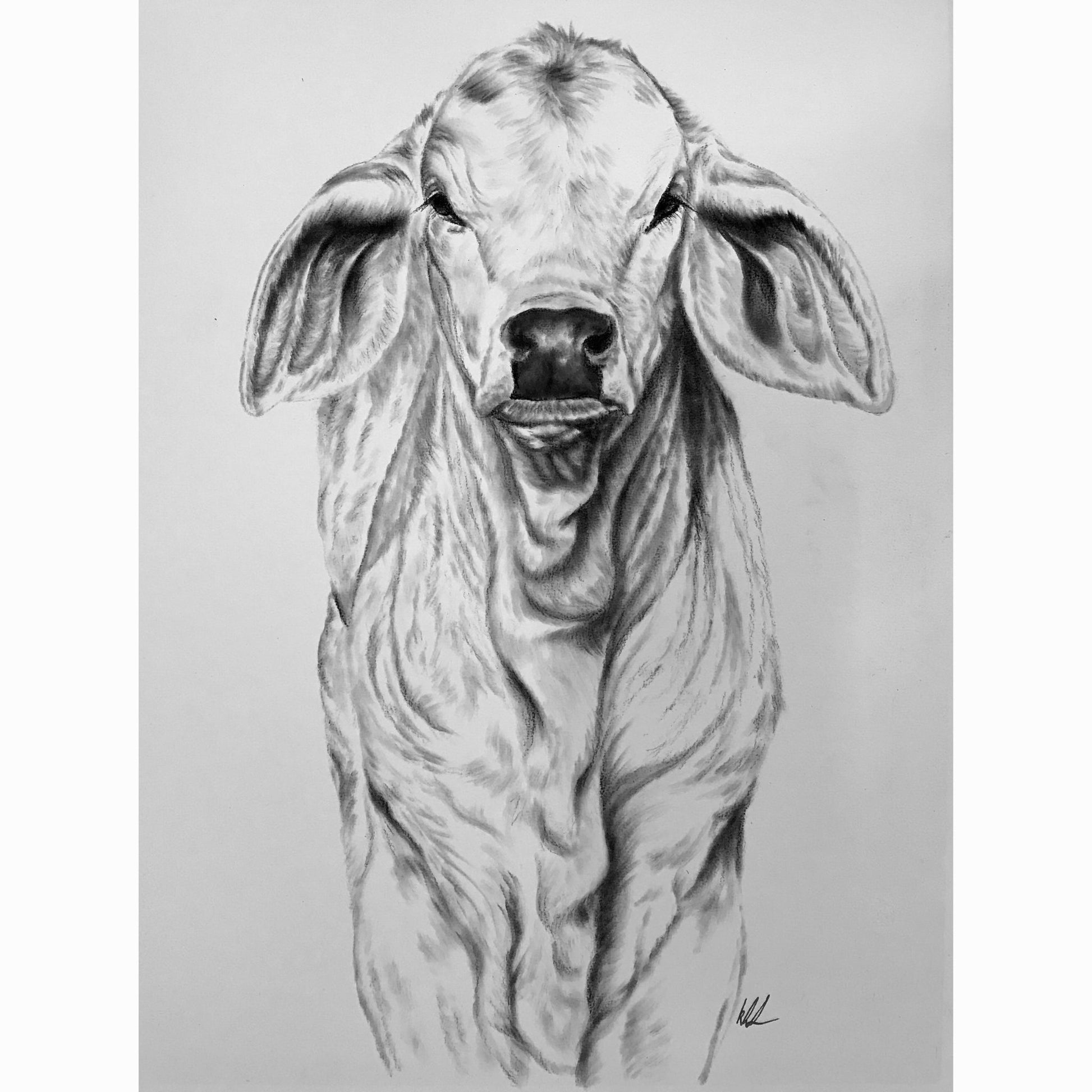 all wrinkles calf fine artwork