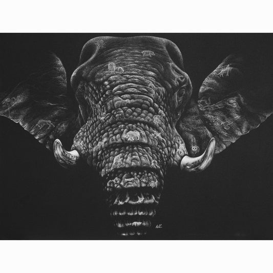 elephant fine art print by kay davidson