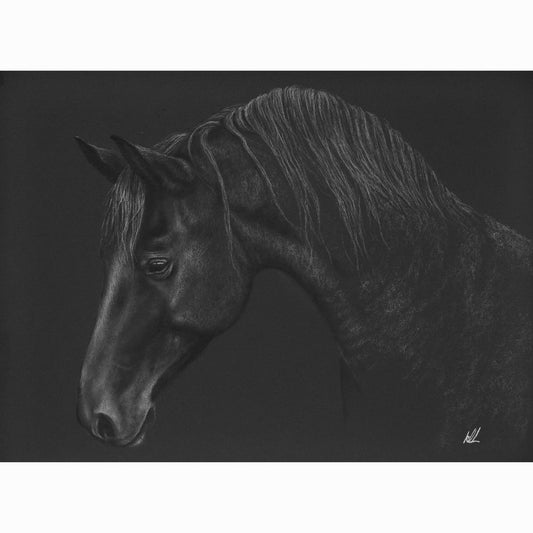 Detailed black and white drawing of a horse on a dark background