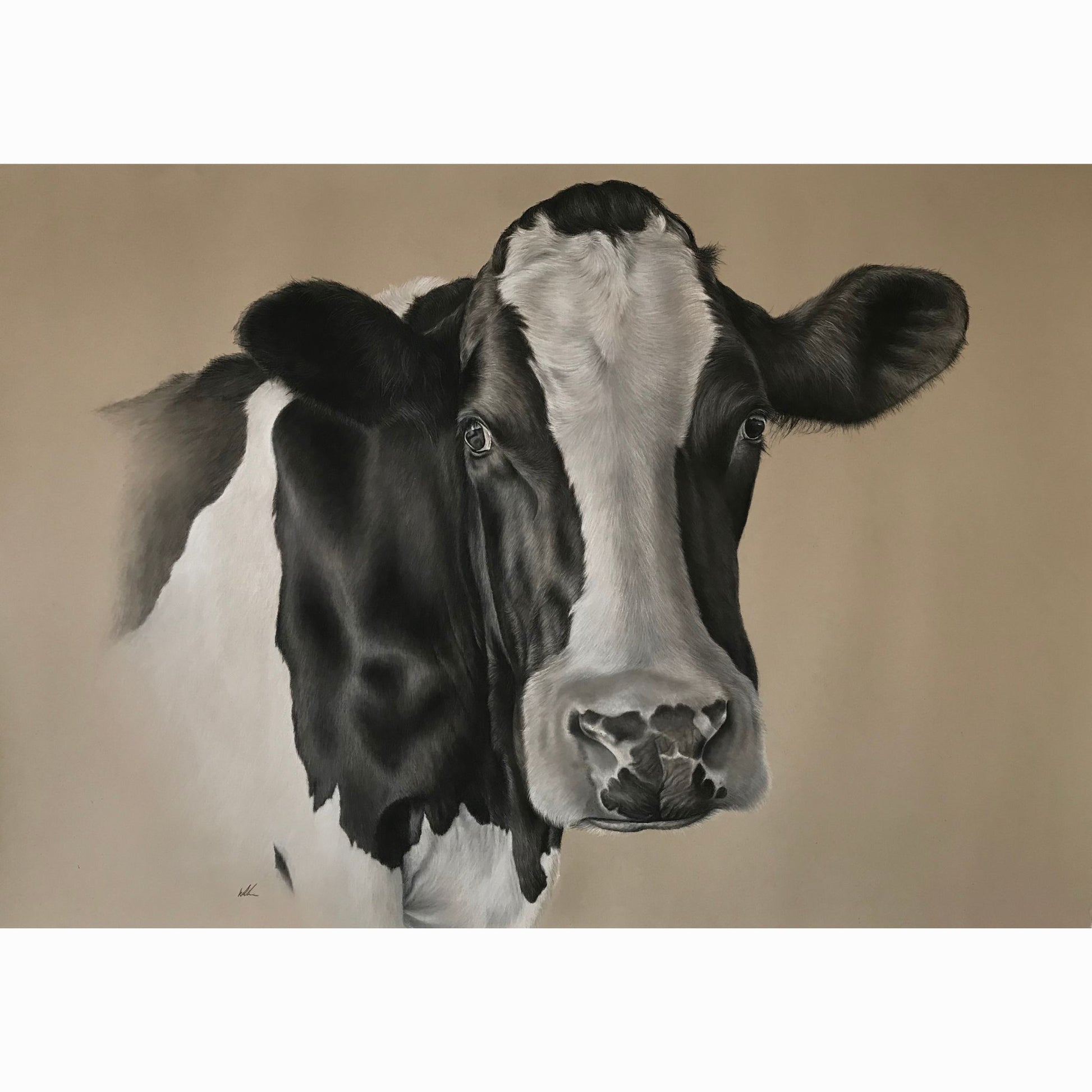 freisan cow fine art print