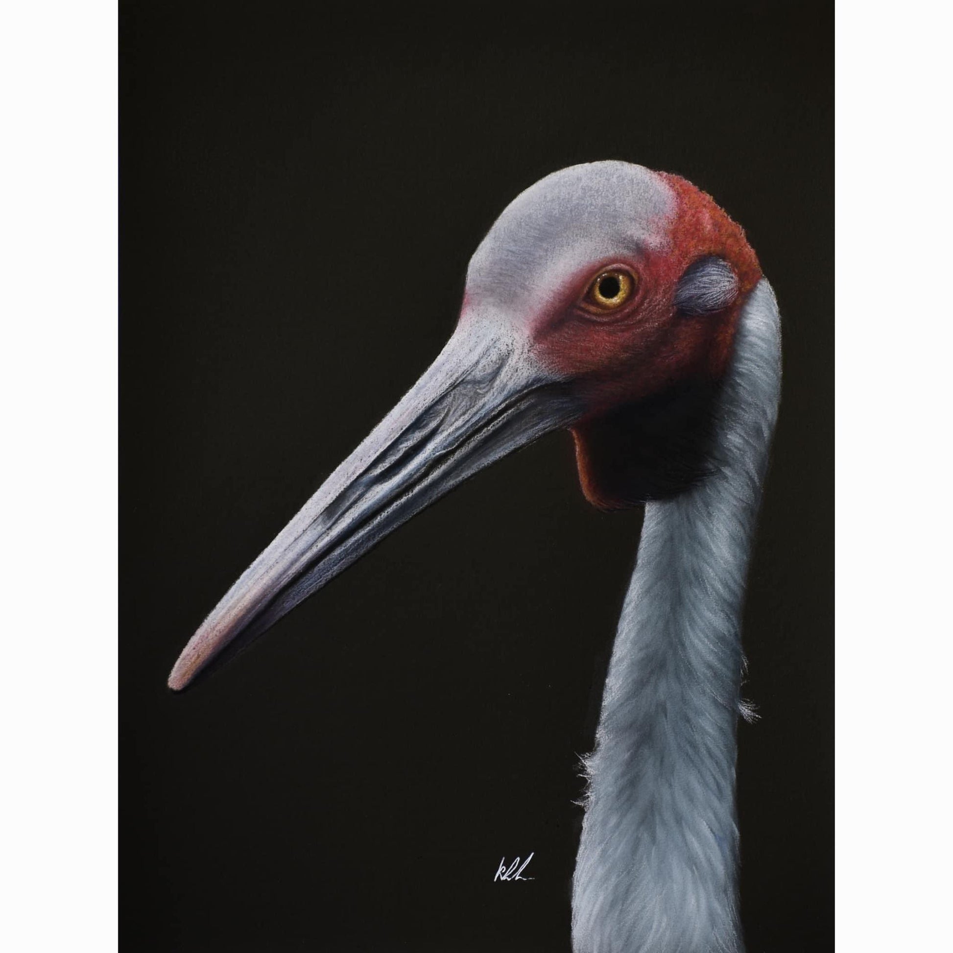 brolga realism artwork in pastel