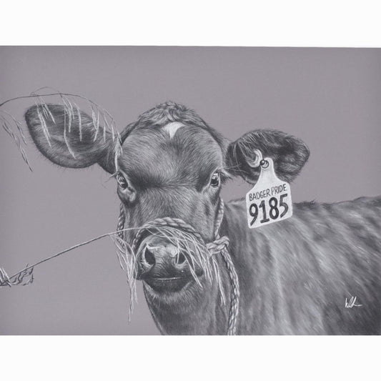 dairy calf with halter on behind grass strands