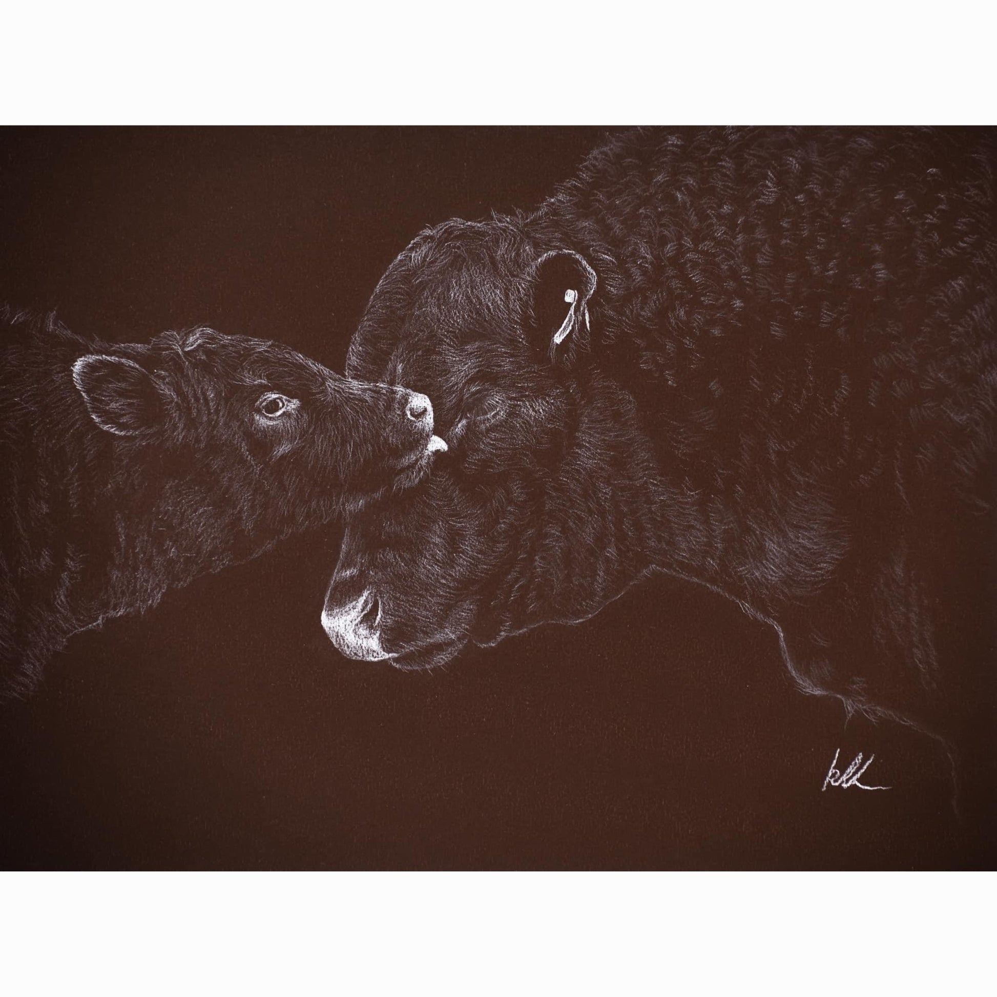 calf licking bulls face realism artwork