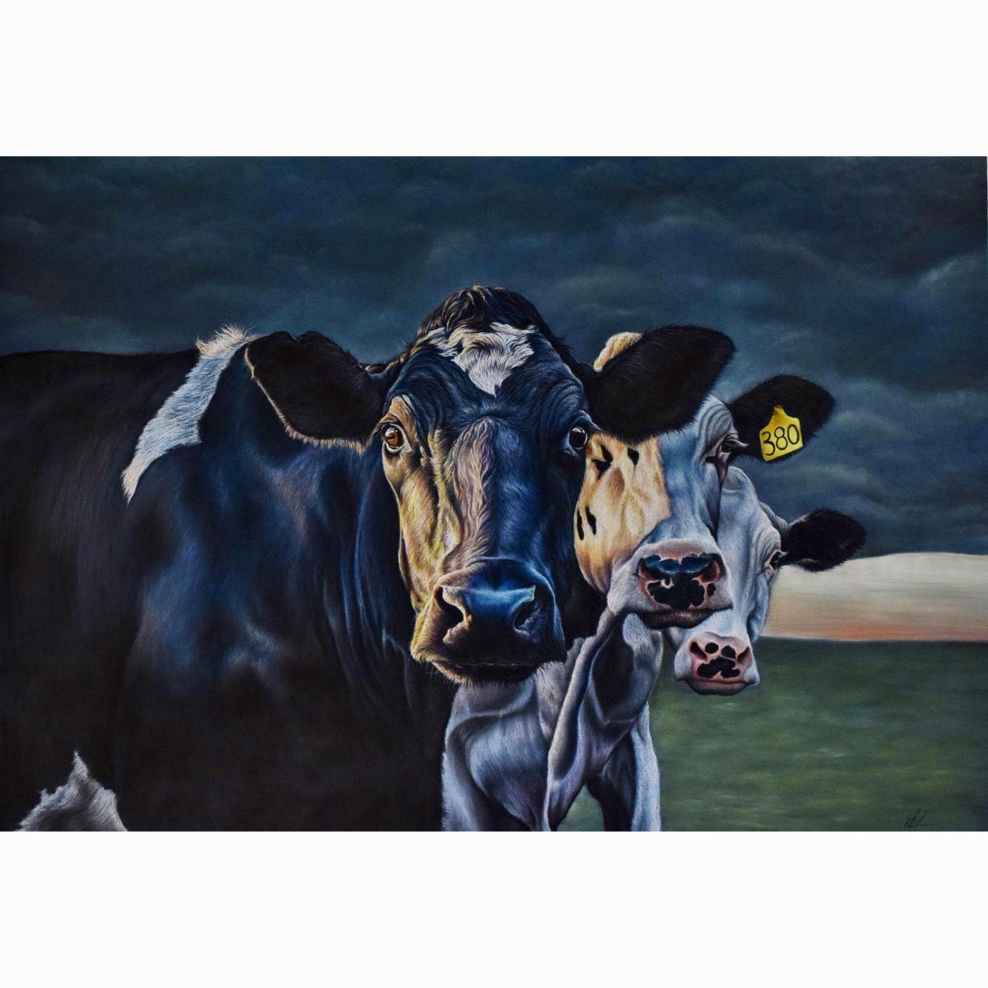 dairy cows fine art print
