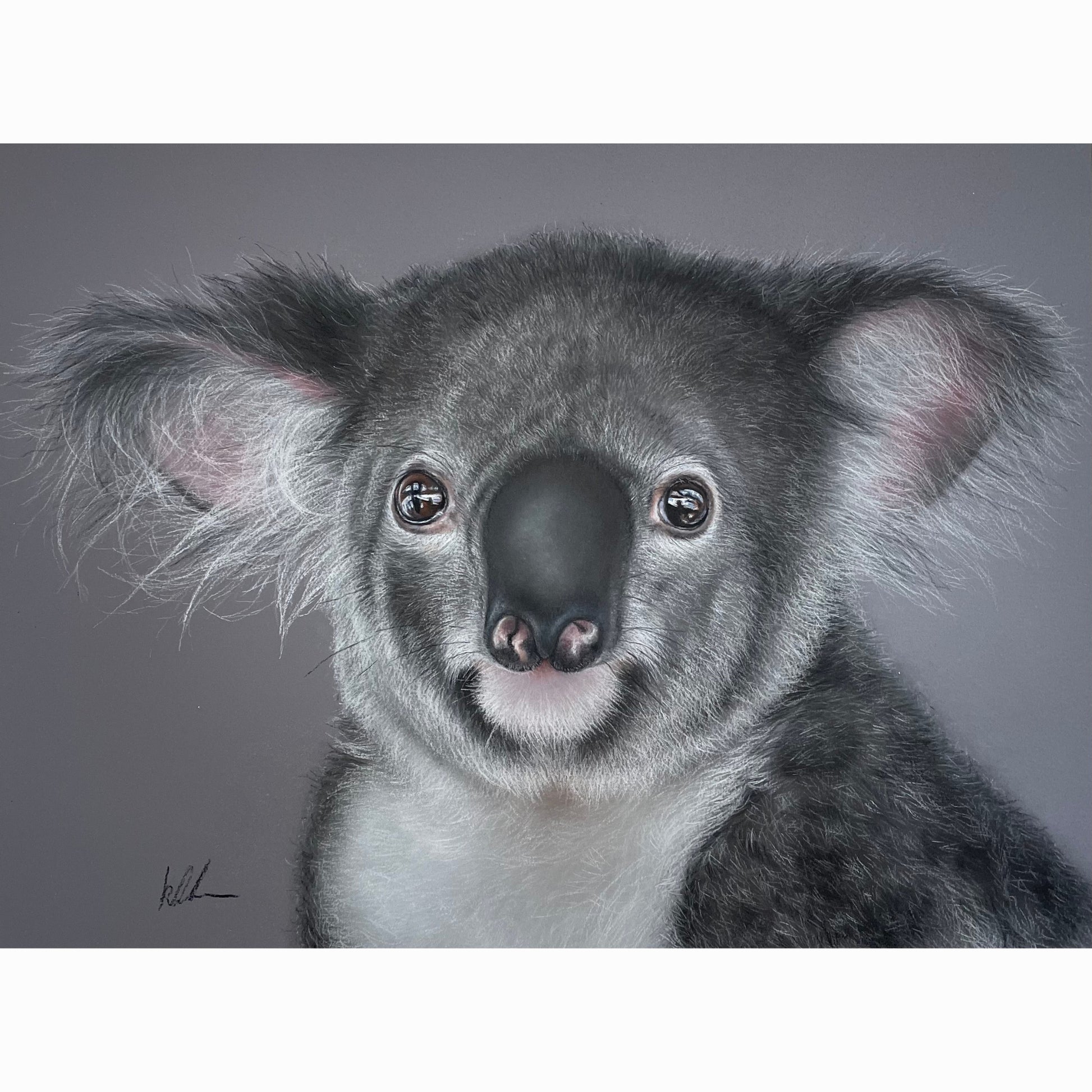 realism pastel drawing of a koala