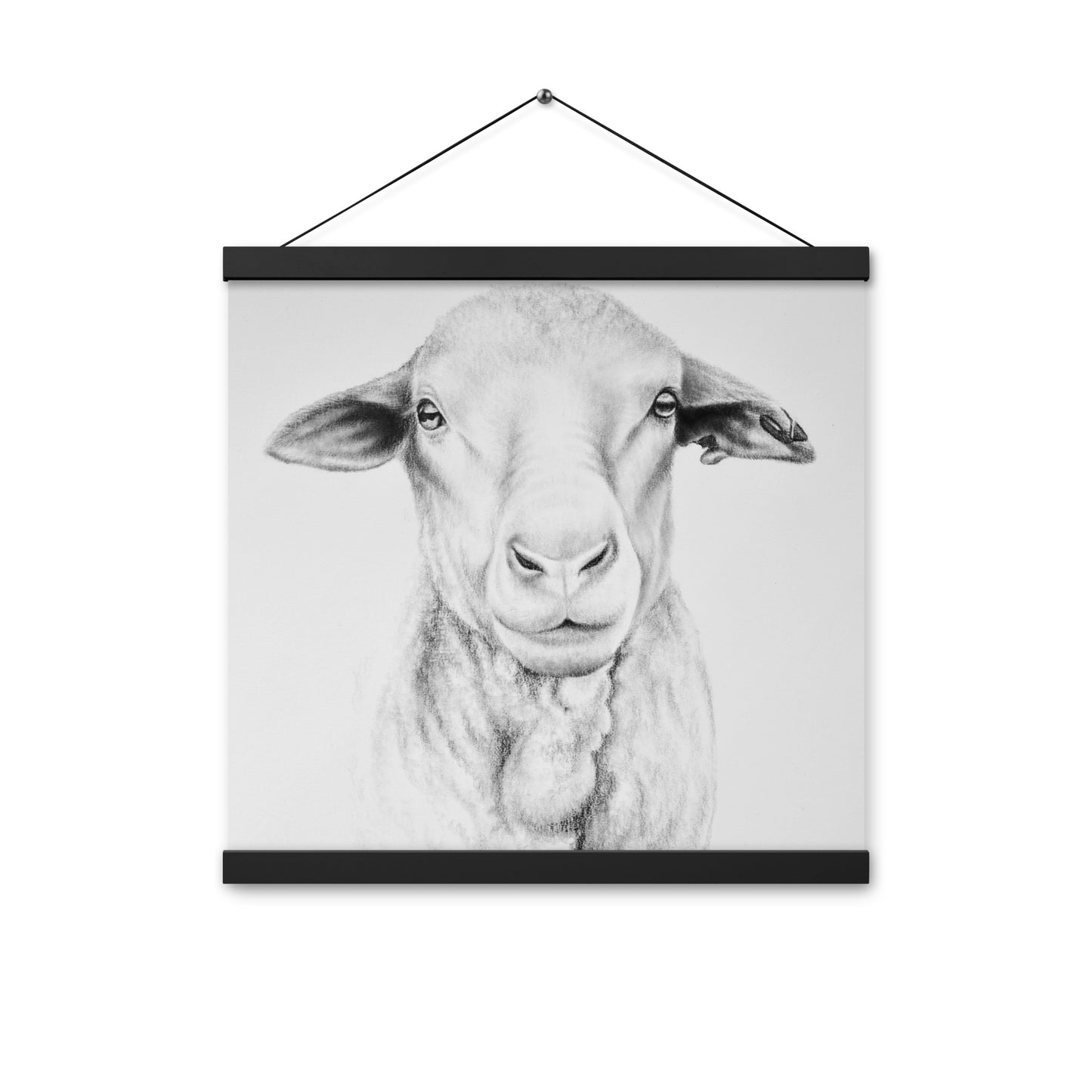 Ewe Poster with hangers