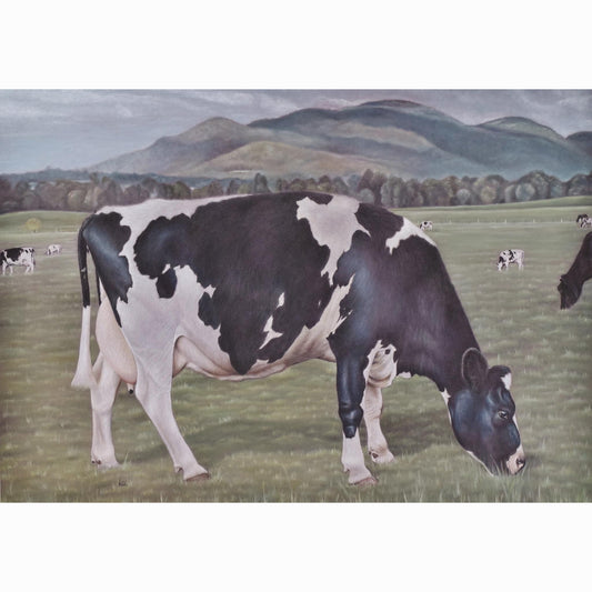 dairy cow grazing in paddock artwork print