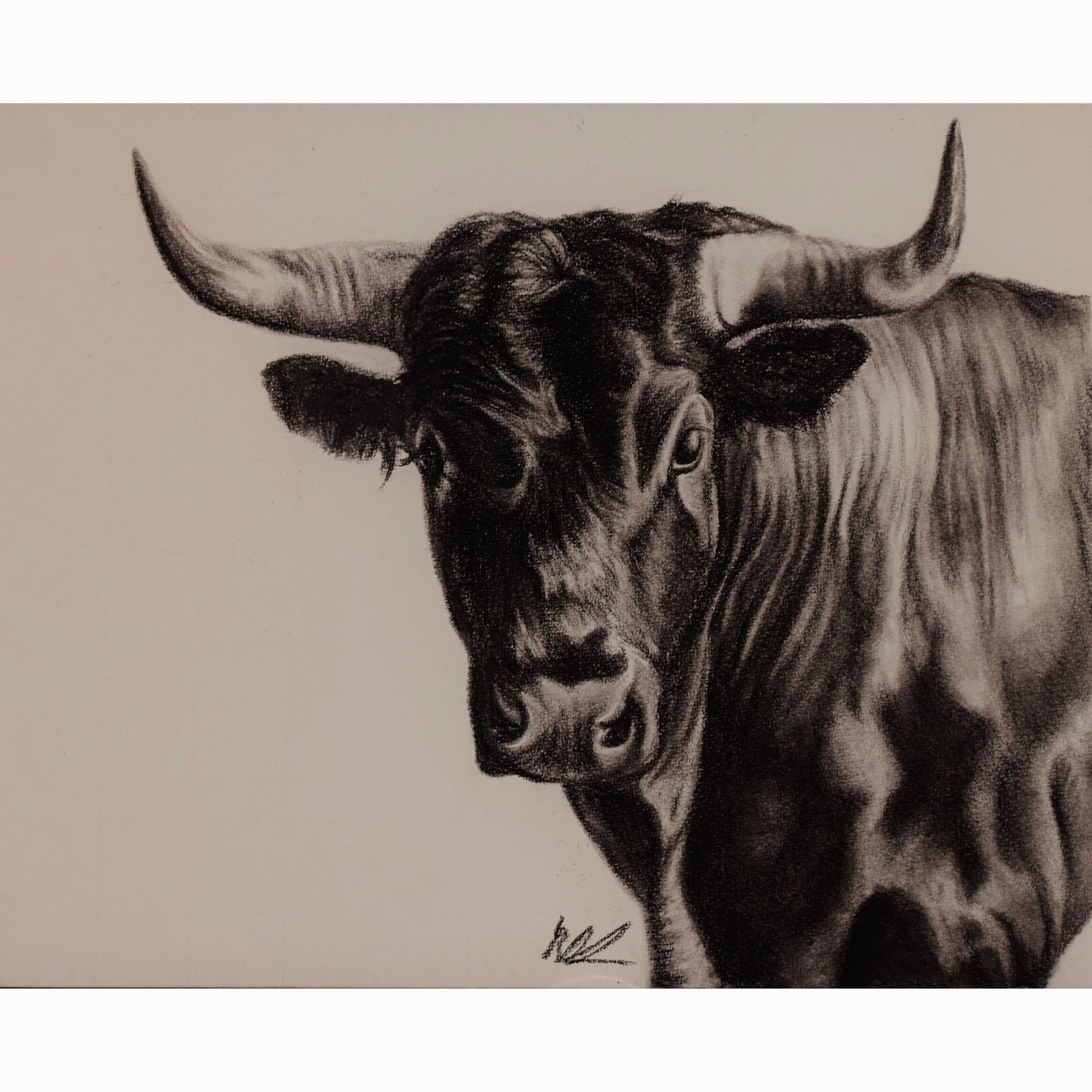 Detailed black and white drawing of a bull on a beige background