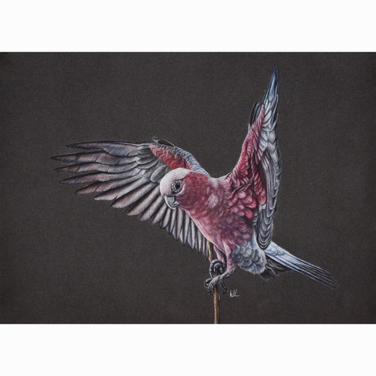 Artistic depiction of a parrot with open wings on a dark background