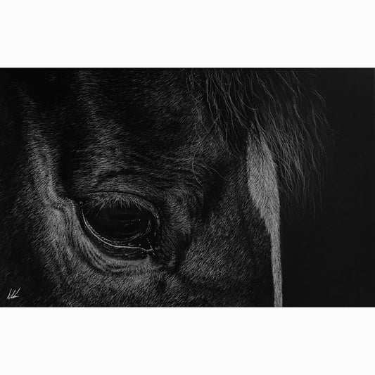 horse eye up close fine art print