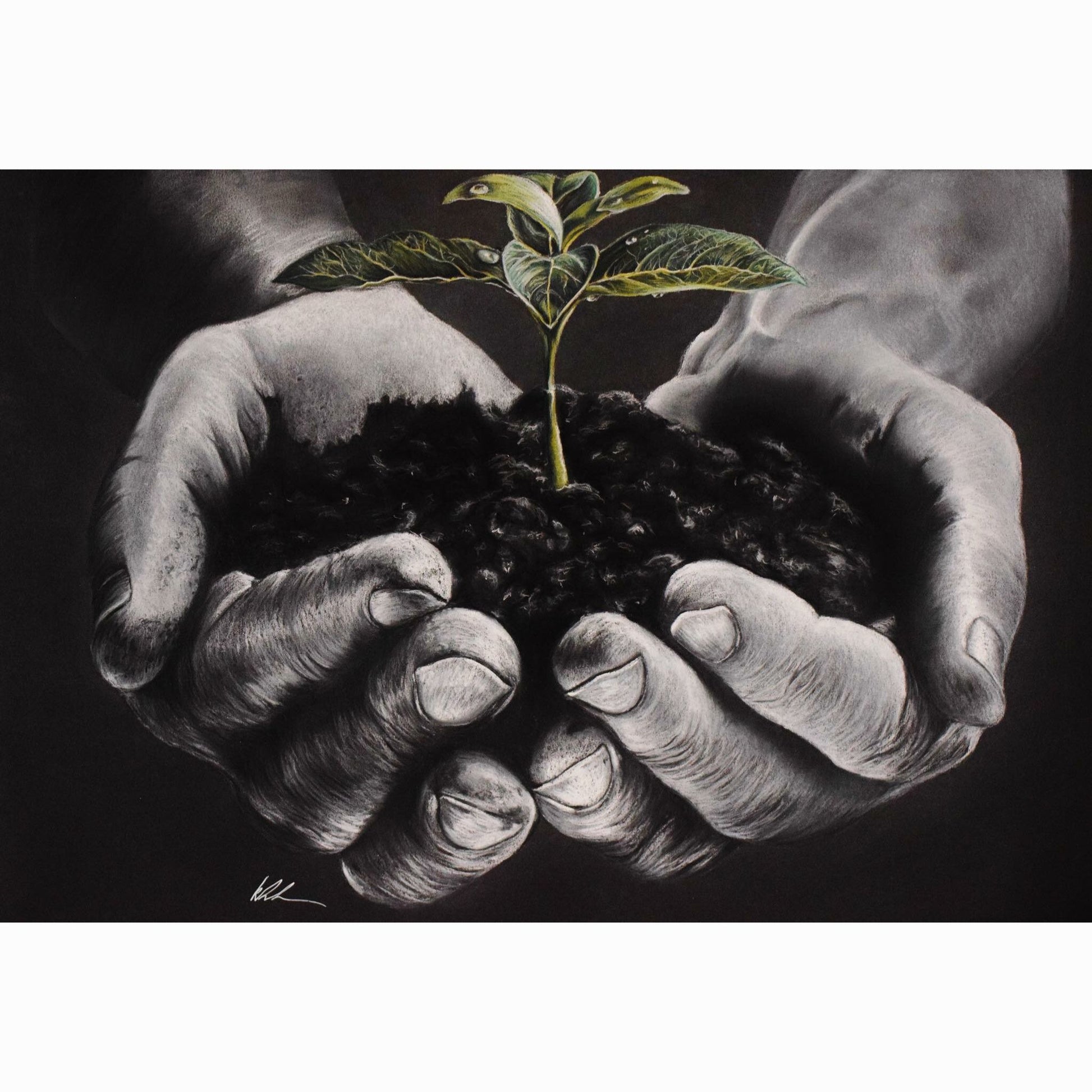 Artistic depiction of hands holding soil with a small plant, on a black background
