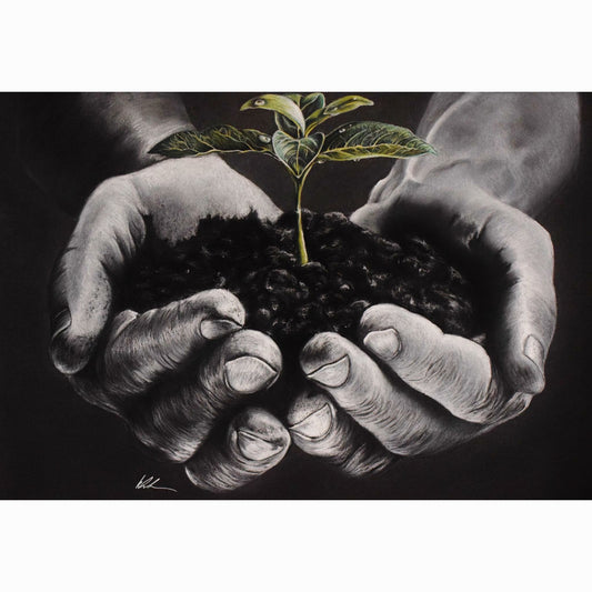 Artistic depiction of hands holding soil with a small plant, on a black background