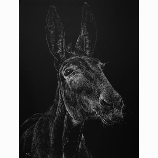Detailed black and white drawing of a donkey's head on a dark background