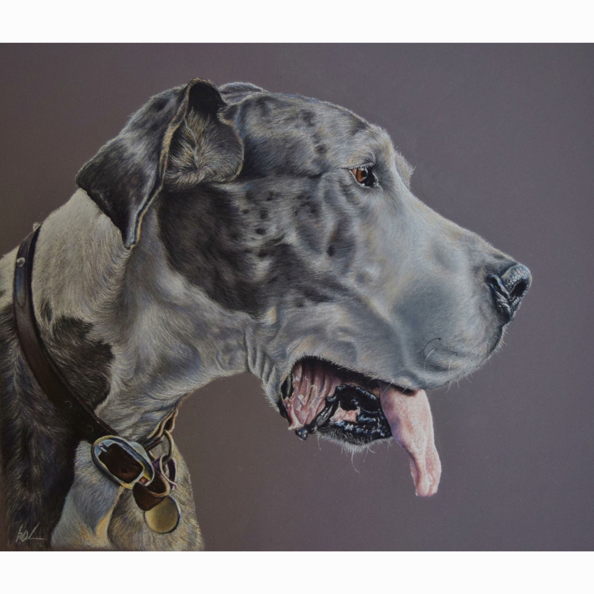 Artistic portrait of a Great Dane with a brown background