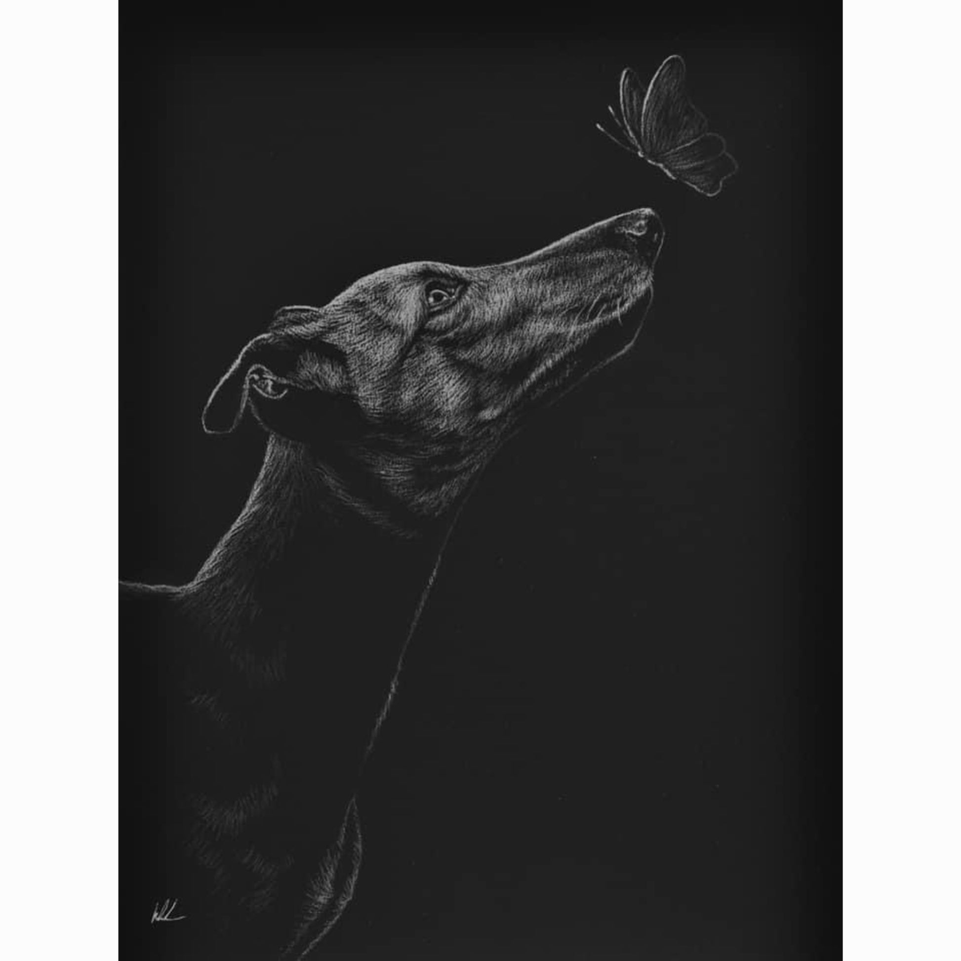 Black and white drawing of a dog looking at a butterfly on a dark background