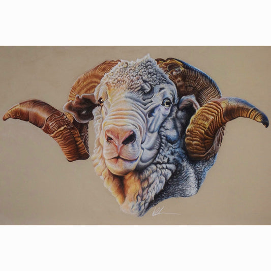 hay runner ram fine art print rolled canvas