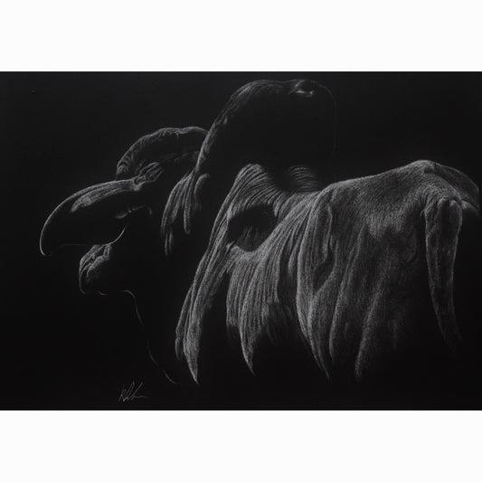 heros glow rolled print