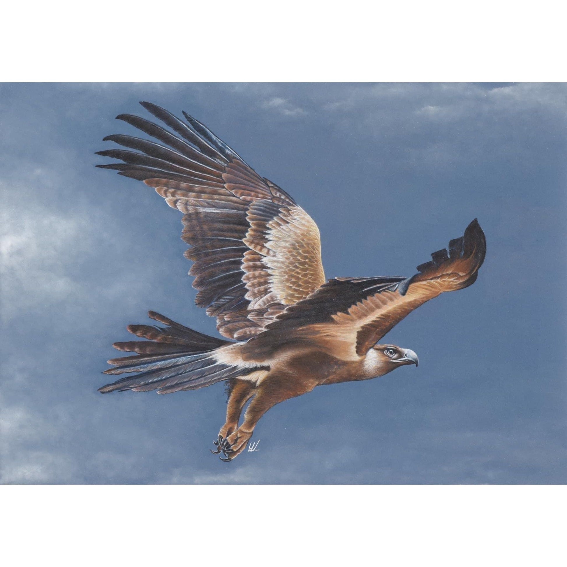 king of the sky original artwork shown unframed