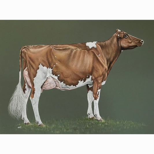 dairy show cow fine art print