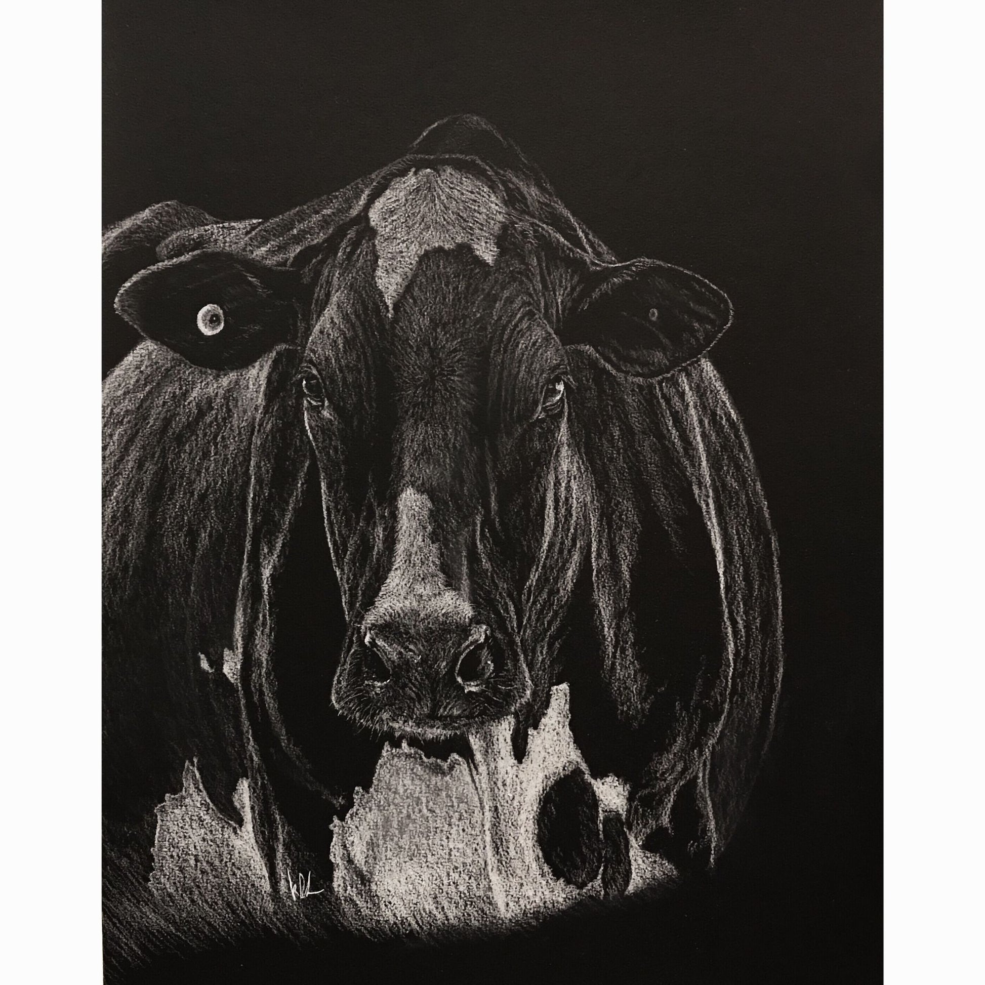 dairy cow fine art print