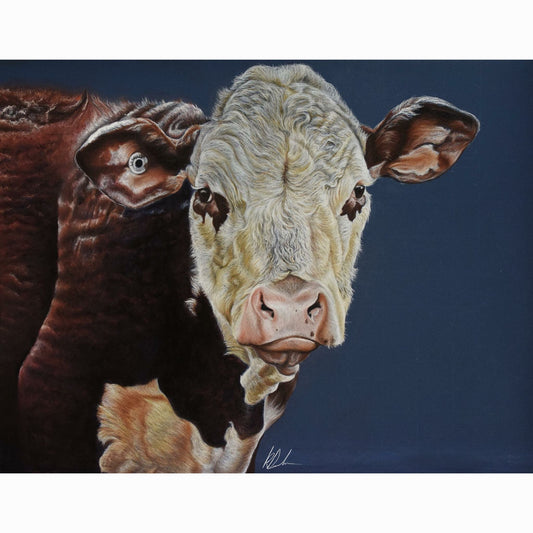 hereford cow fine art print
