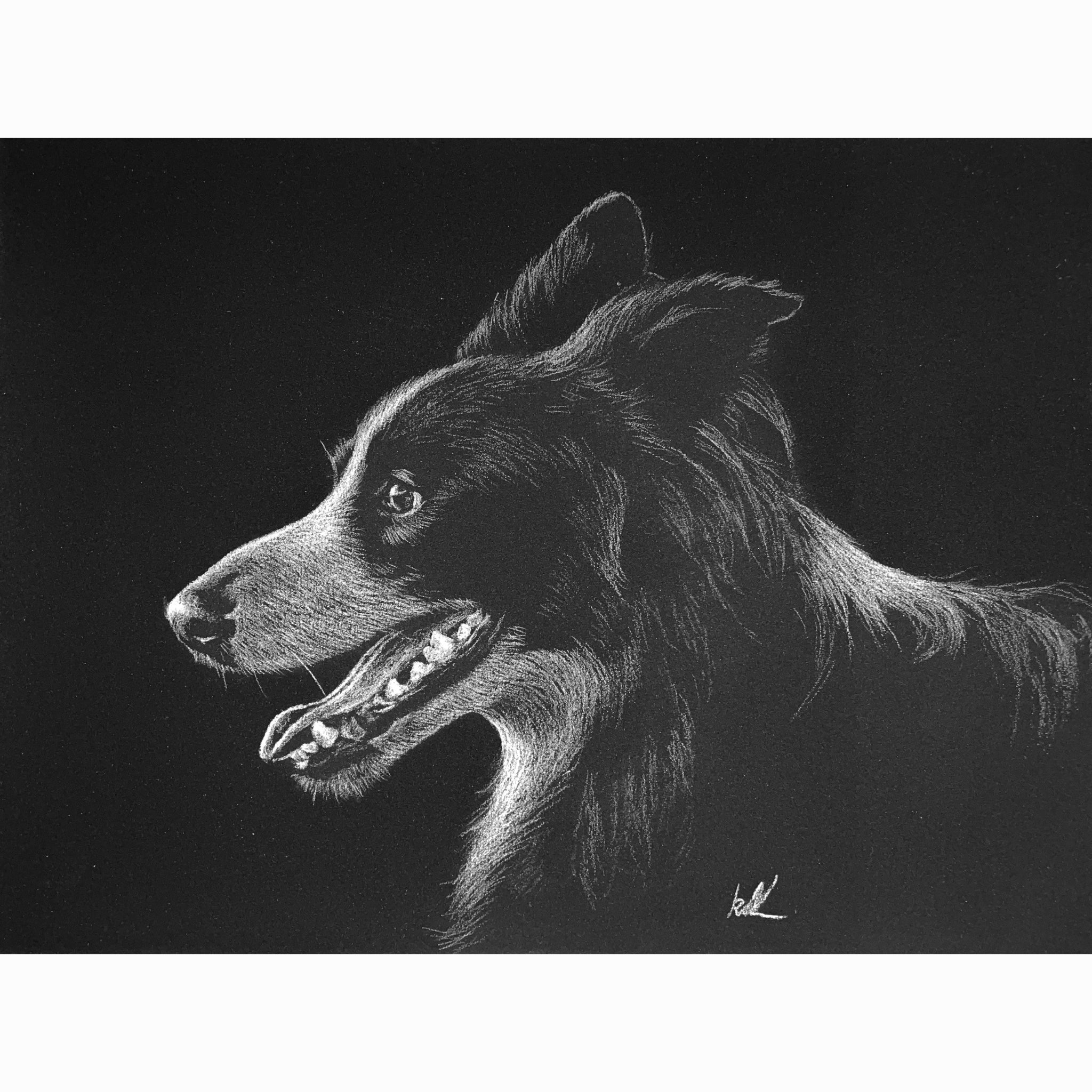 Detailed black and white drawing of a dog on a dark background