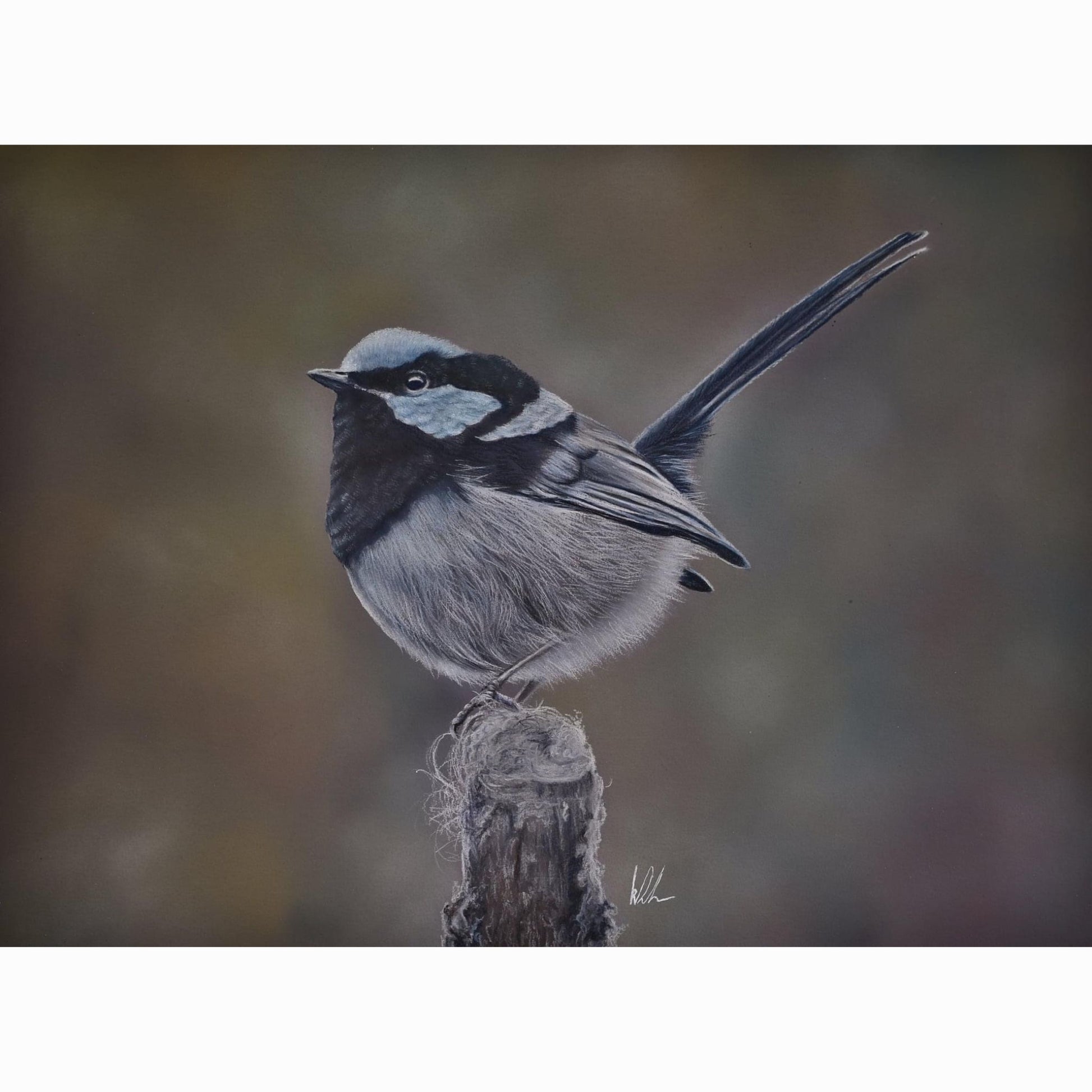 Detailed drawing of a bird perched on a branch with a blurred background
