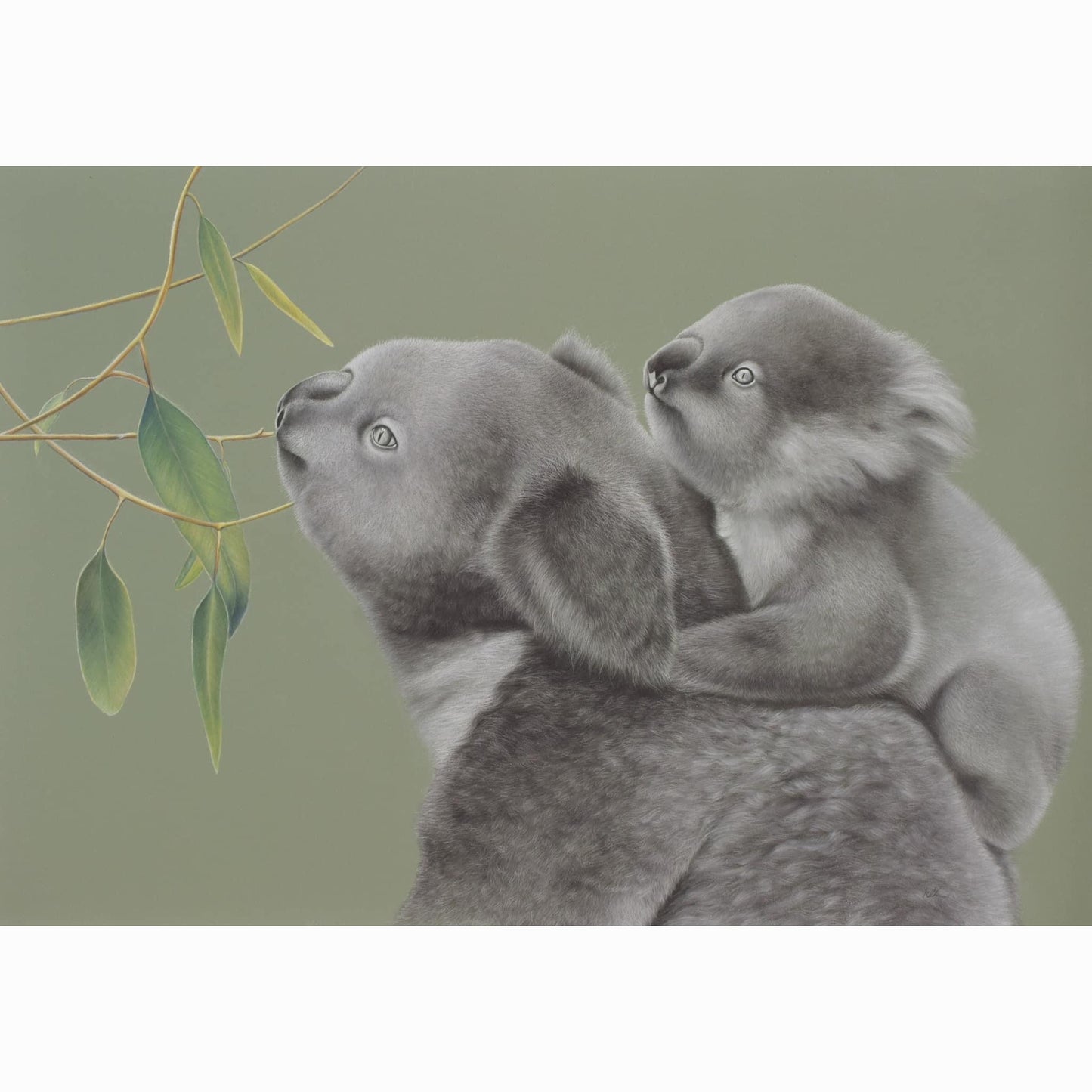 pastel artwork of a koala holding a baby koala with eucalyptus leaves on a green background