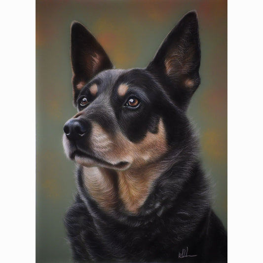 princess the blue heeler rolled print.jpg