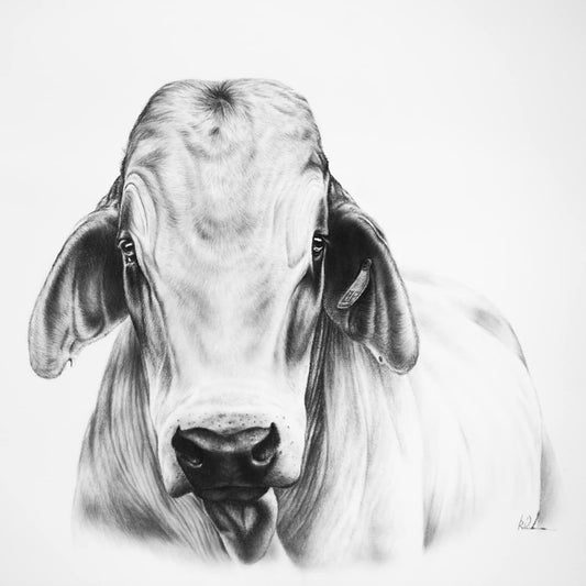 rabshakeh stretched canvas print