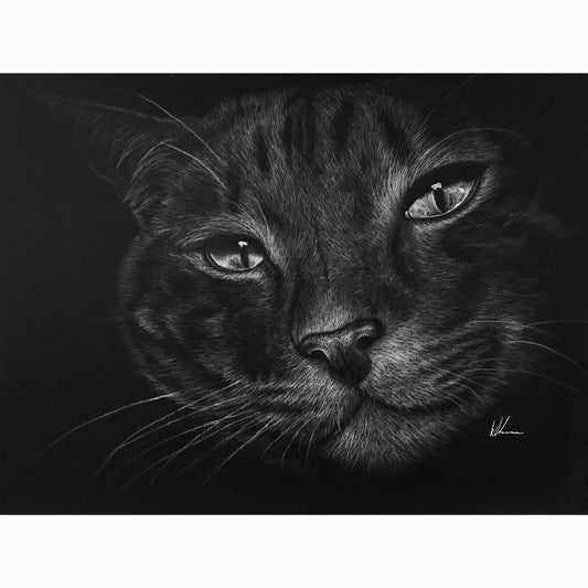 Detailed black and white drawing of a cat's face on a dark background