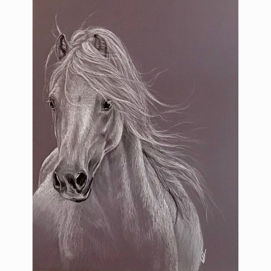 welsh stallion fine art print
