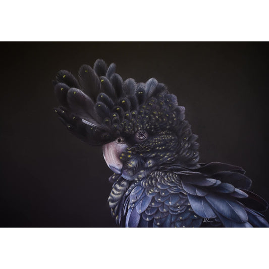 red tailed beauty original artwork shown unframed