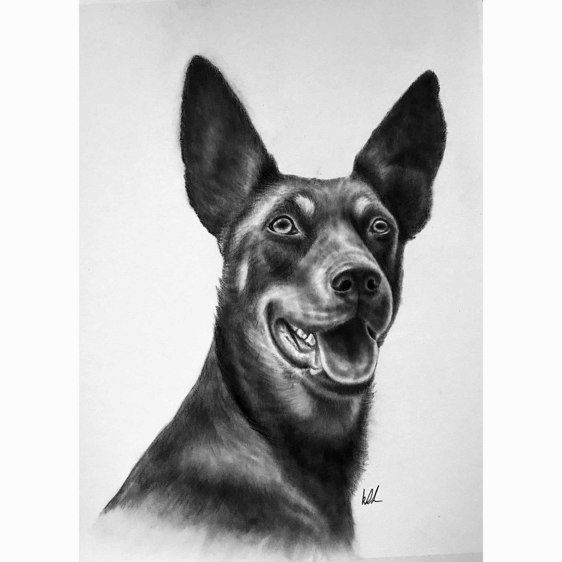 Black and white drawing of a dog's head on a light gray background