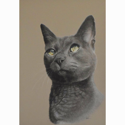 Artistic depiction of a gray cat with green eyes on a beige background