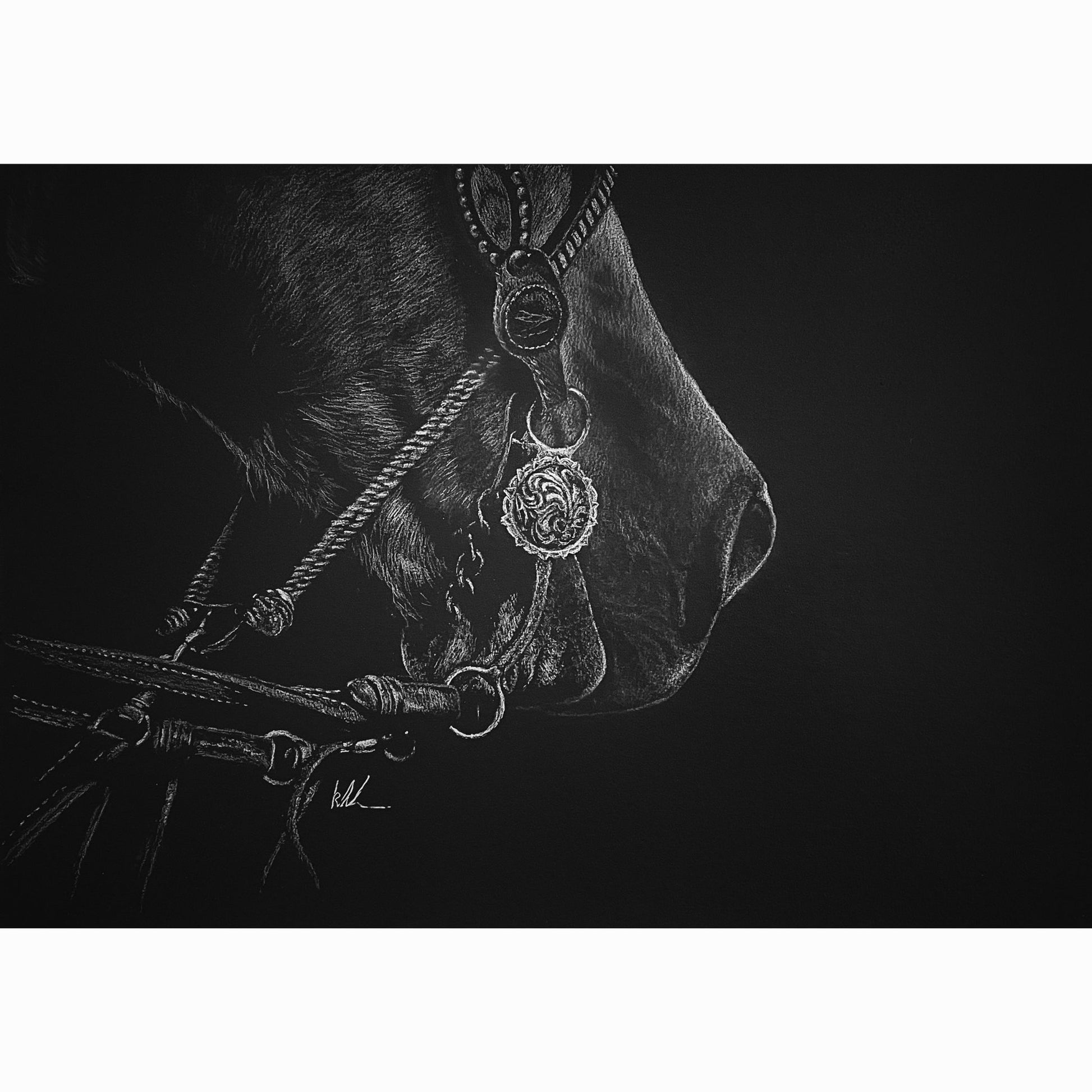 Close-up of a horse's head with western bit  on a black background