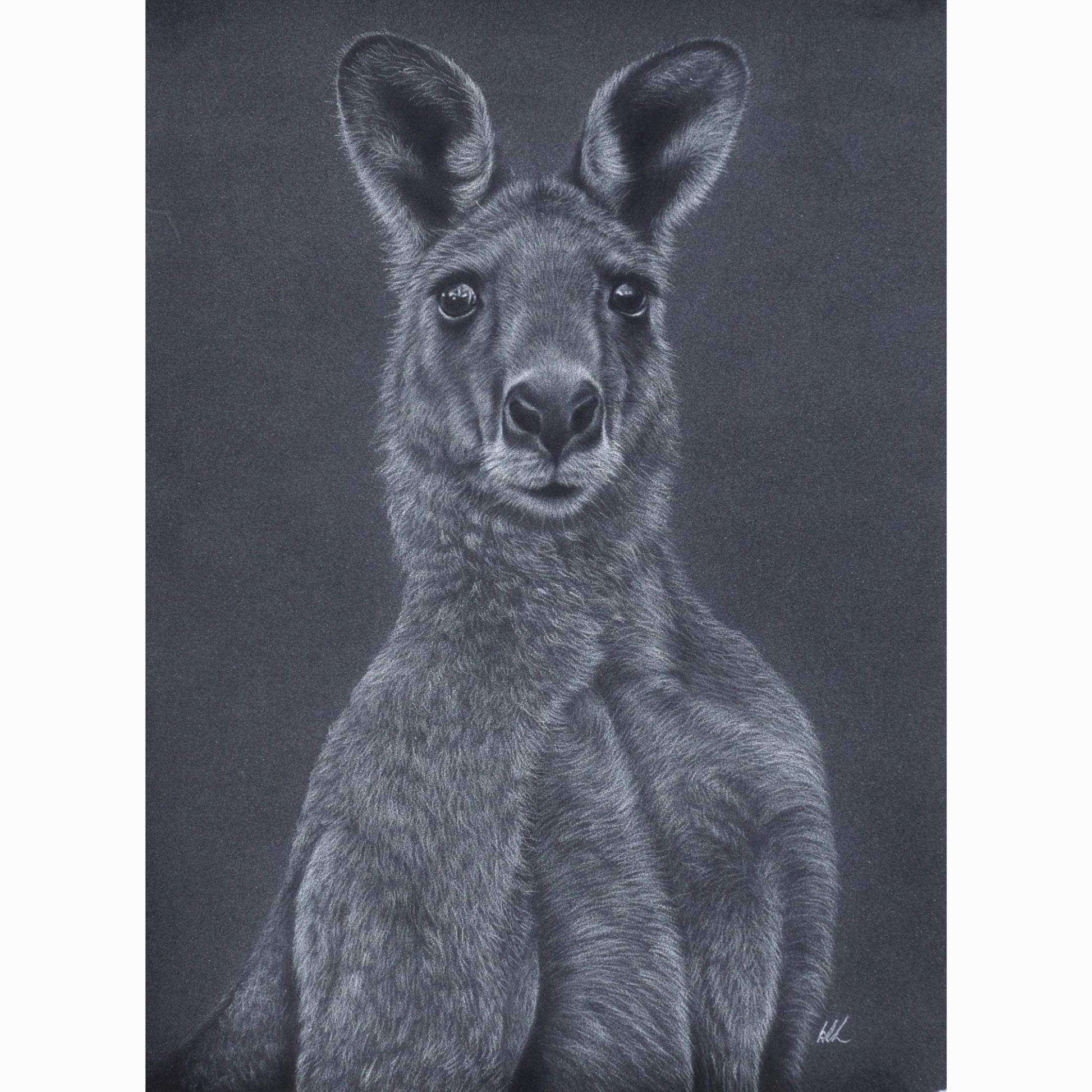 Detailed drawing of a kangaroo on a dark background