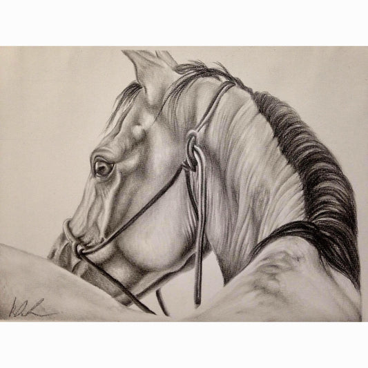 Detailed drawing of a horse's head with a rope halter on a beige background